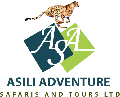 Client Logo